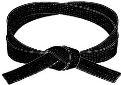 black_belt_small